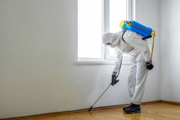 Best Organic or Eco-Friendly Pest Control  in Clifton, AZ